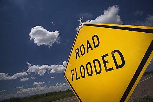 道路,洪水,标识,亚利桑那,美国