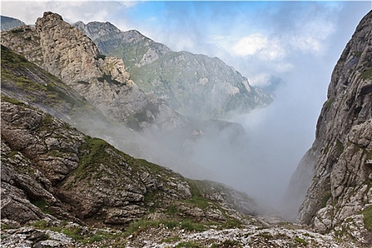 山谷,雾气