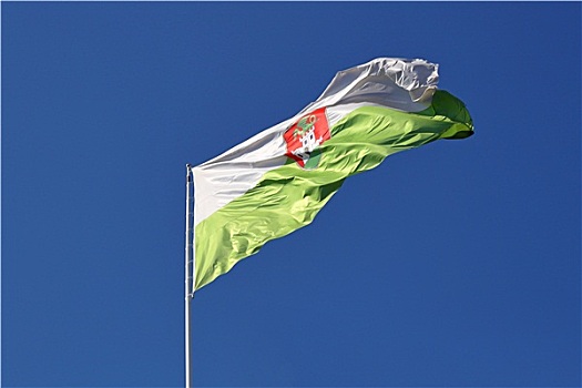 卢布尔雅那,旗帜