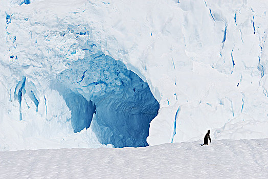 南极,冰,山,洞