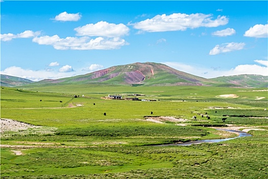 那曲羌塘高原牧场风光,中国西藏