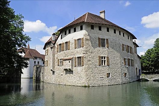 水,城堡,护城河,阿尔皋,瑞士,欧洲