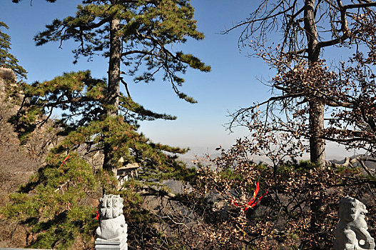 甘肃省平凉市崆峒山