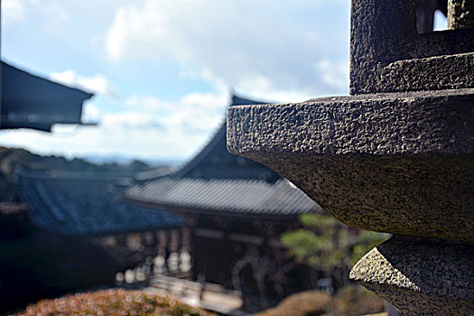 京都,日本,特写