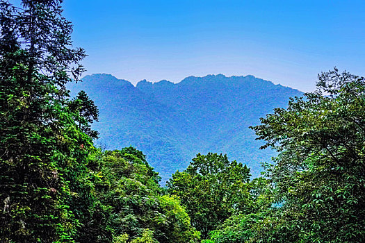 峨眉山植物园外风光