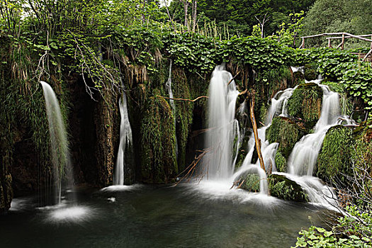 风景