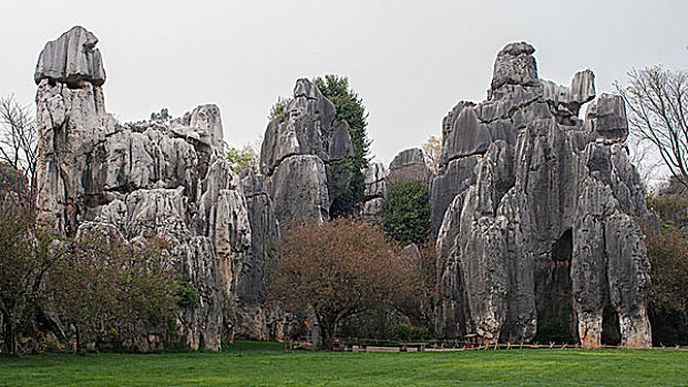 石林景区