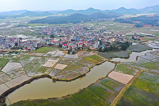 江西金溪,乡村春景美如画