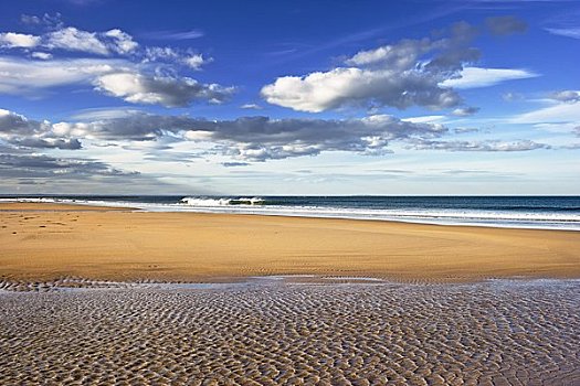 海滩,东洛锡安,苏格兰,英国