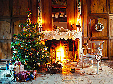 礼物,圣诞树,火,客厅