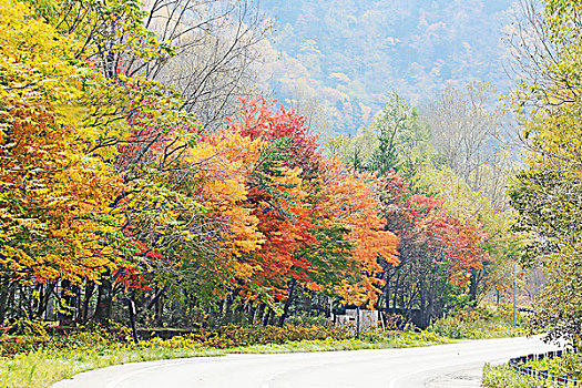 山,国家公园,秋叶,北海道