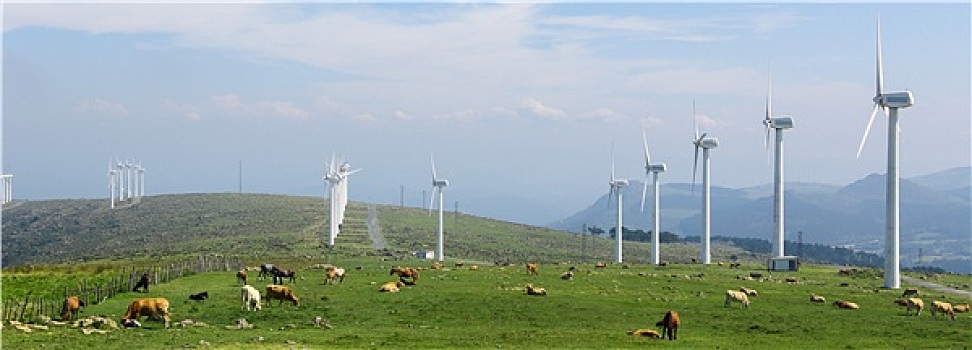 风电场,北方,局部,加利西亚,西班牙