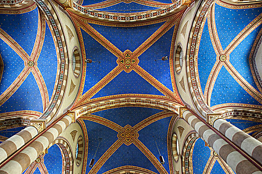 拱顶天花板,中央教堂,阿尔巴,库内奥,意大利,欧洲