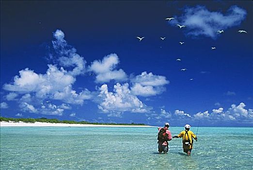 马绍尔群岛,比基尼,环礁,飞钓,礁石,海鸟