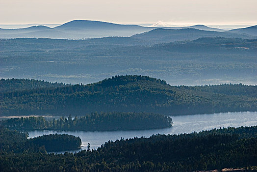 树林,水,风景,航拍,瑞典