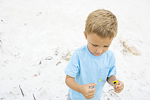 小男孩,挑选,花瓣,花,俯拍,沙子,背景