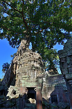 柬埔寨吴哥王朝塔普伦寺神庙