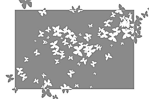 刻花,蝴蝶,图案,设计,灰色,白色