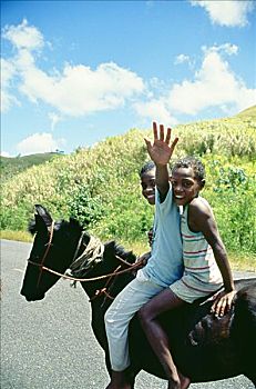 斐济,两个,孩子,乘,马背,道路,微笑,摆动