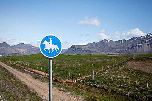 缰绳,道路,交通标志,冰岛,欧洲