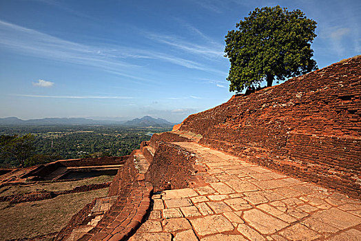 遗址,宫殿,石头,要塞,锡吉里耶,狮子岩,风景,围绕,中央省,斯里兰卡,亚洲