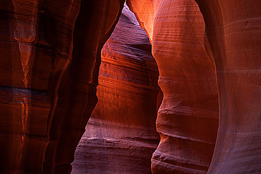 彩色,沙岩构造,亮光,羚羊谷,狭缝谷,页岩,亚利桑那,美国,北美