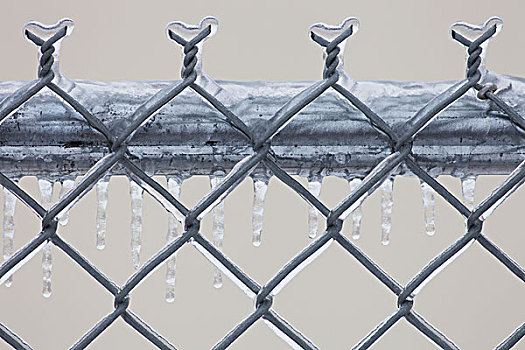 铁丝网,冰,风暴,乔治敦,安大略省,加拿大