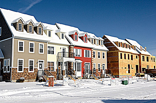 冬天,街道,景色,排,新,独栋别墅,售出,标识,雪,艾伯塔省,加拿大