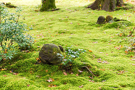 可爱,雕塑,日本寺庙