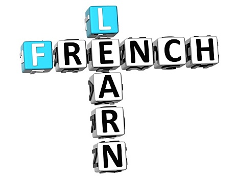 学习,法国,填字游戏