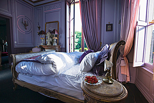 房间,法国