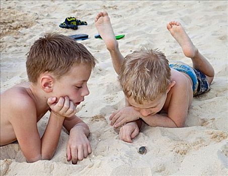 两个男孩,6岁,看,寄居蟹,海滩