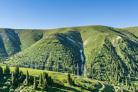 中国新疆夏季蓝天白云下g217独库公路沿途高山森林风光