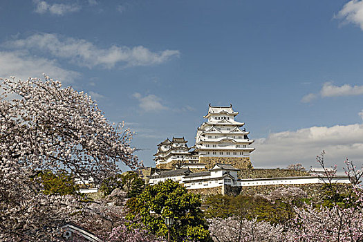 姬路城堡,姬路,亚洲,日本