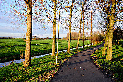 自行车,道路,圩田,区域,风景,豪达城,荷兰,欧洲