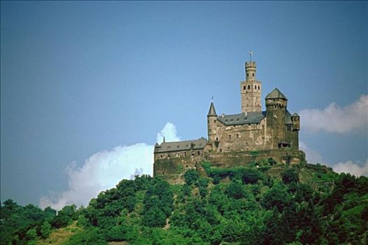 城堡,远眺,河,莱茵河,德国