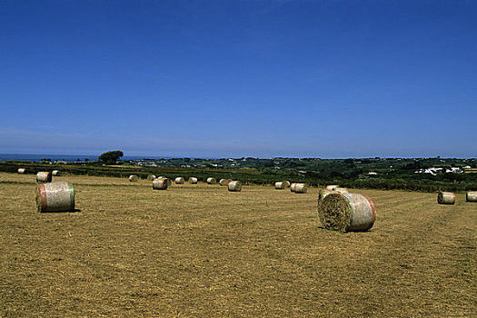 英国,峡岛,格恩西岛,地点,干草包