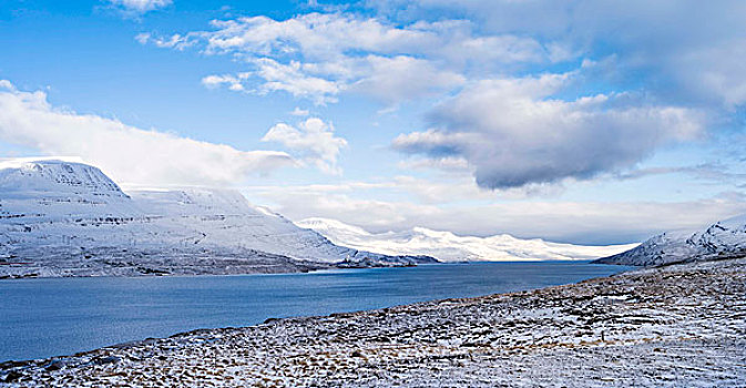 东方,峡湾,冰岛,冬天,风景,区域,大幅,尺寸