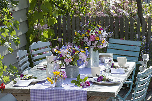 夏天,桌饰,玫瑰,山萝卜属植物,风铃草