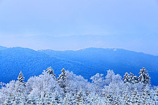 吉林省仙峰国家森林公园雪景