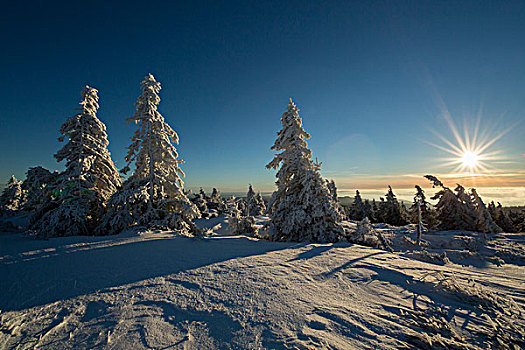 冬季风景,布罗肯,哈尔茨山,萨克森安哈尔特,德国