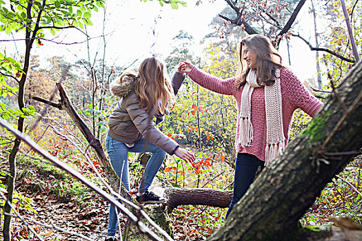 少女,树林,帮助,攀登,秋天,树干,微笑
