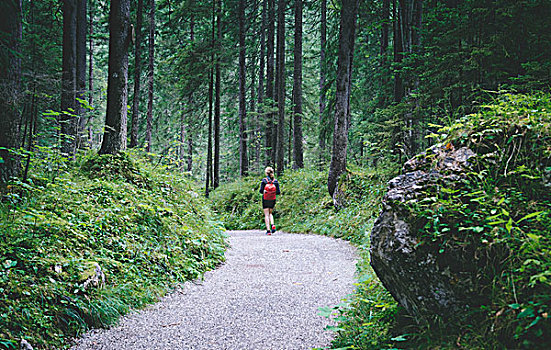 女孩,红色,背包,走,树林,加米施帕藤基兴,巴伐利亚阿尔卑斯山,德国