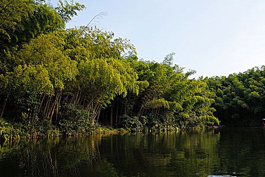 竹林竹海竹子和干净的湖,竹筏划船