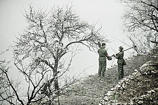 剧情,山村,山地,锄头,干活,杏花,雾