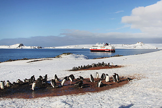 antarctic