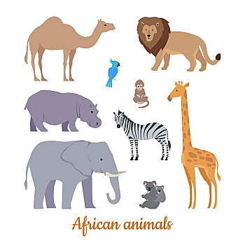 收集,非洲动物,设计,矢量,骆驼,狮子,鹦鹉,猴子,河马,斑马,大象,长颈鹿,树袋熊,插画,自然,概念,书本,材质,非洲