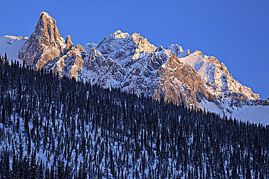 北美,美国,阿拉斯加,北方,公路,布鲁克斯山,冬季风景