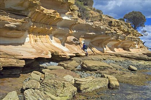 涂绘,悬崖,玛丽亚,岛屿,国家公园,塔斯马尼亚,澳大利亚
