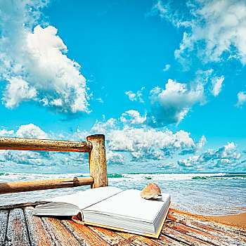 书本,海贝,竹子,椅子,海滩